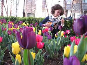 Lauren Mettler, a local folk musician, won a SAMMY award in 2017. This year's SAMMYS award show will be March 2 at the Palace Theater. The second round of online voting begins Jan. 16.