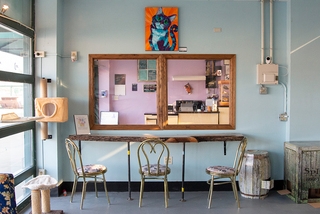 The Pawsitivitea space is separated into two parts: a cafe area where customers can purchase food and drinks, and a cat lounge.